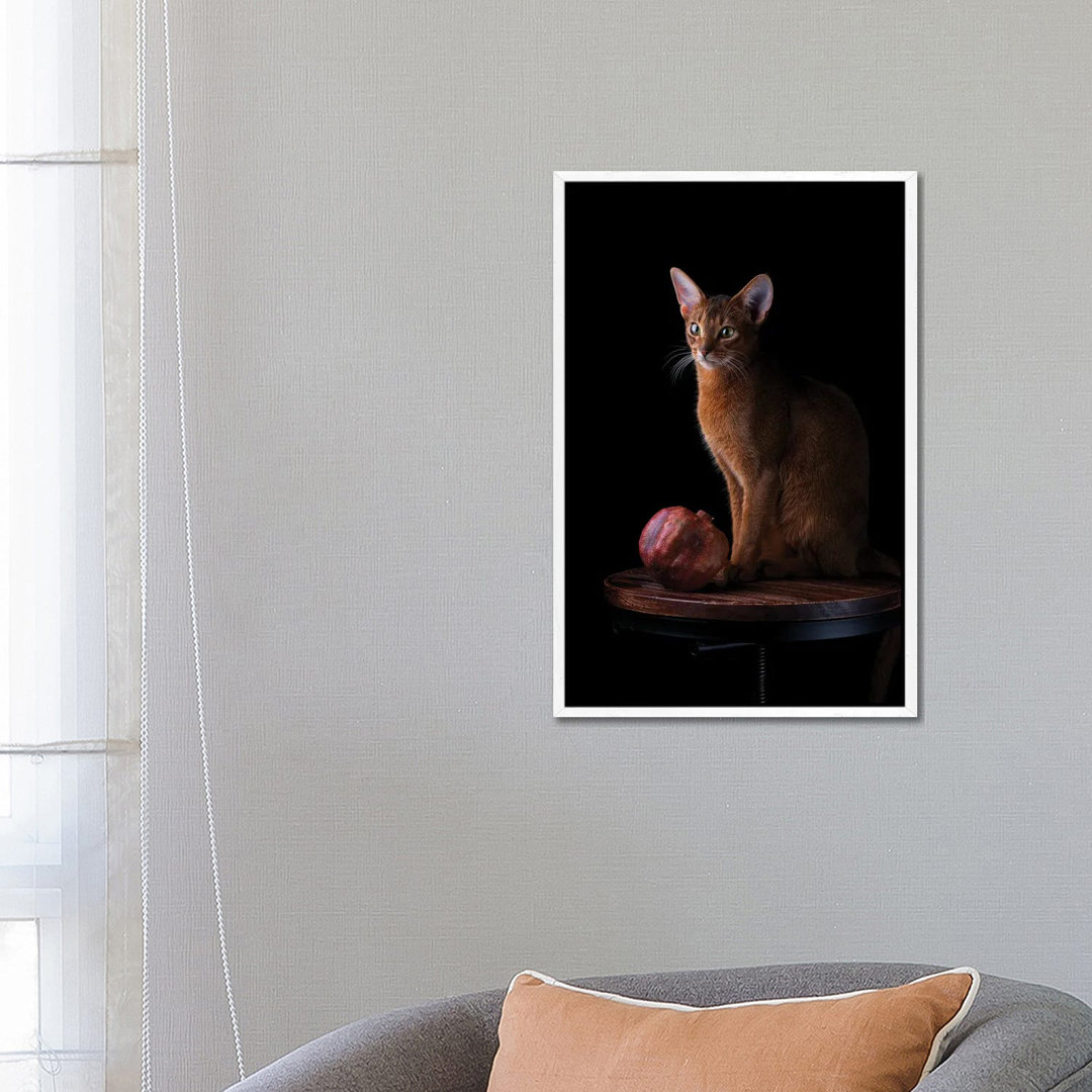 Abessinierkatze und Granatapfel von Nailia Schwarz - Galerie-umwickelte Leinwand Giclée auf Leinwand