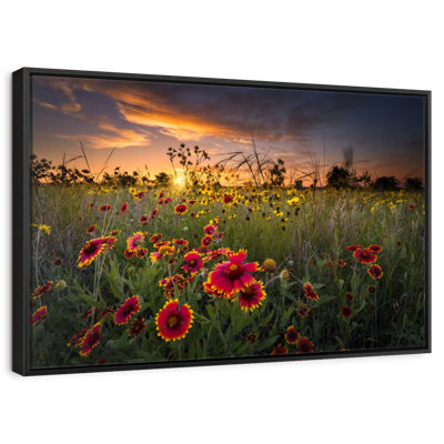 Aube au champ de fleurs