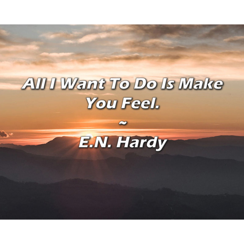 E.N. Hardy Quote: All I Want To Do Is Make You Feel.