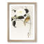 Songbird & Flowering Camellia by Ohara Koson - Picture Frame Painting Print-55618608-55618609