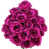 Fuchsia est en rupture de stock