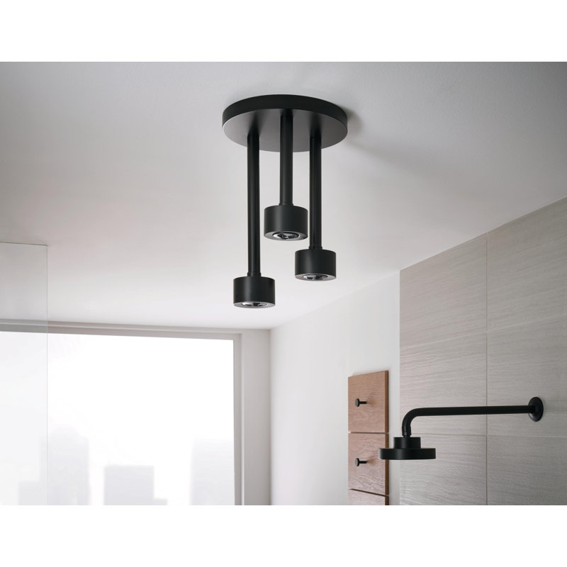 Essential™ Ceiling Mount Pendant Raincan Showerhead, Matte Black
