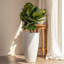 Pot à fleurs rond avec plateau Nova l 12 po-671843974-777671223-777671178