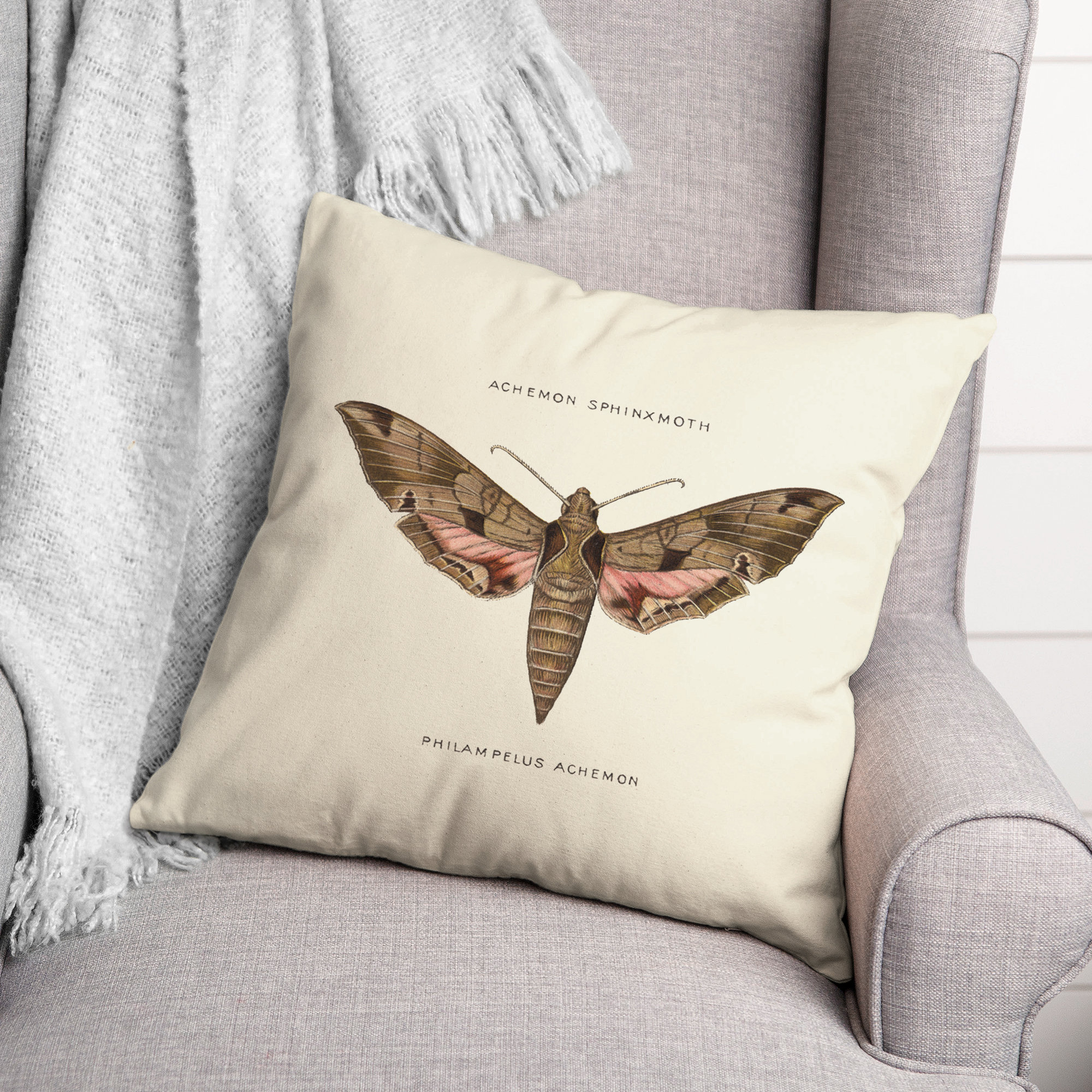 Designs Direct Creative Group Moth Diagram Square Pillow Cover & Insert ...