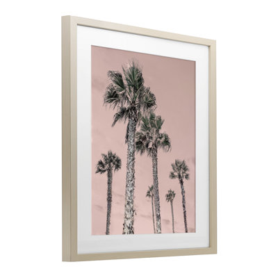«Palm Up Pink Sky», reproduction encadrée sous verre, conception de Natalie Carpentieri