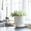 Berry & Thread Planter-58648837-58915834