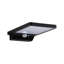 Solveig LED Solar Outdoor Flush Mount with Motion Sensor