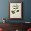 Nature imprimée Botanicals VI, toile encadrée de qualité supérieure - prête à être accrochée-1629172583