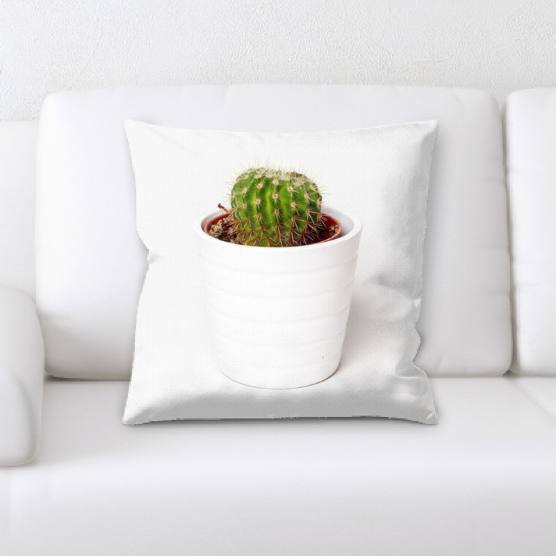 Coussin cactus