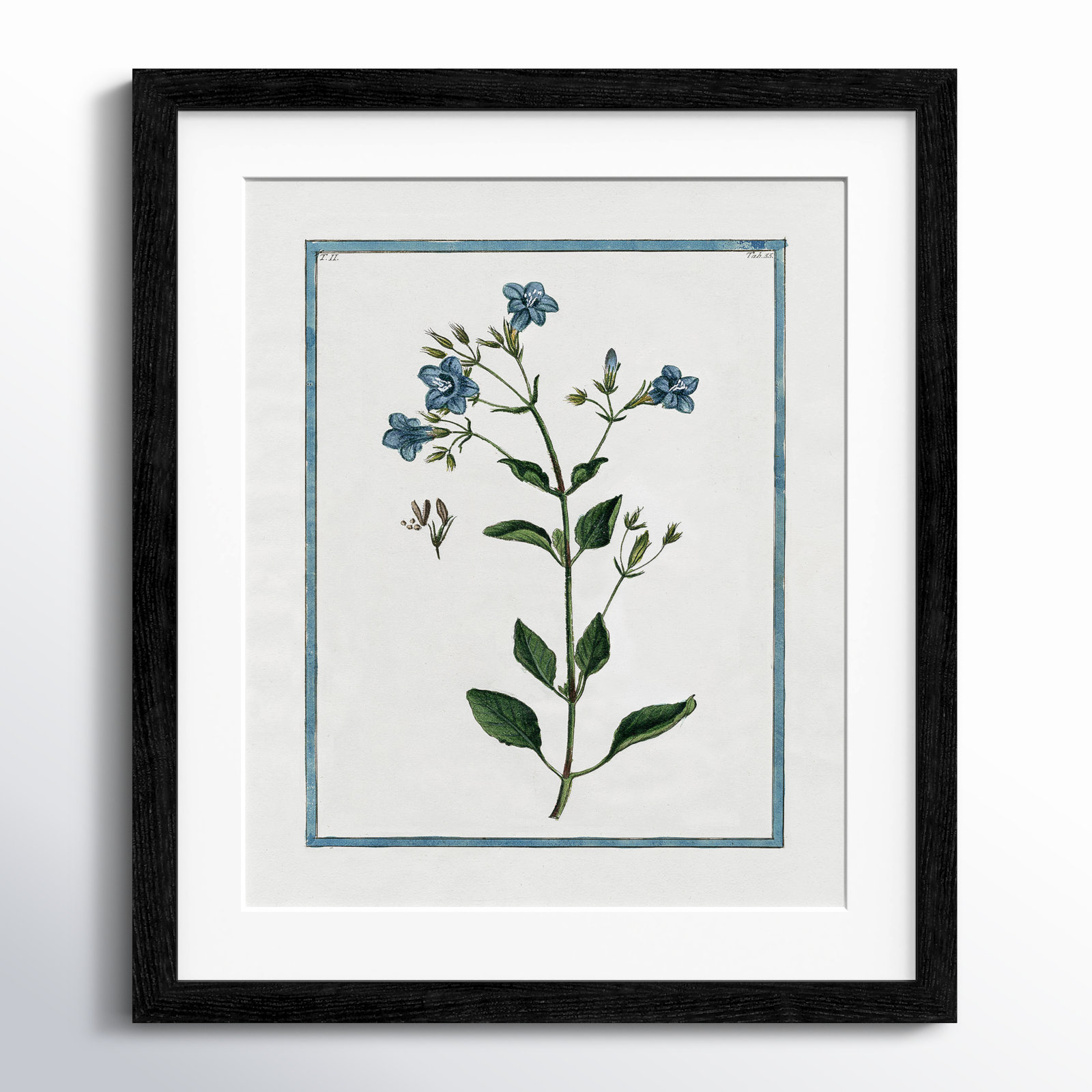 Shabby Elegance Botanical II - Framed Art, Black Framed, 13" W x 15" H