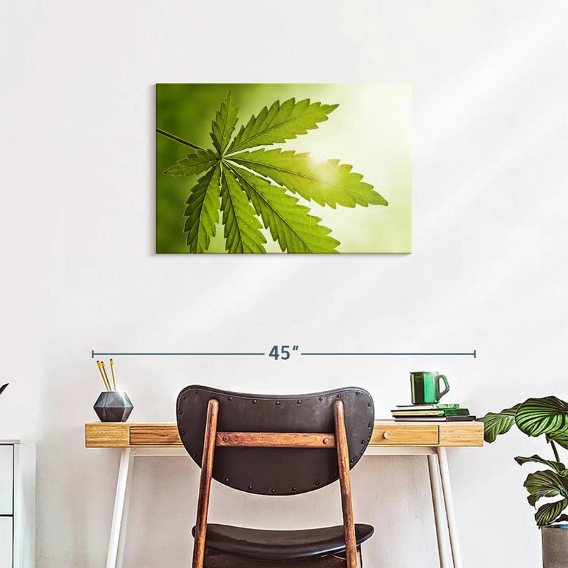 Lever de soleil de la marijuana, 20" H x 30" W