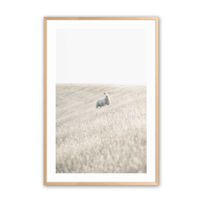 Serene Sheep Pasture, Érable brut encadré, H 15 po x l 12 po x P 1,25 po