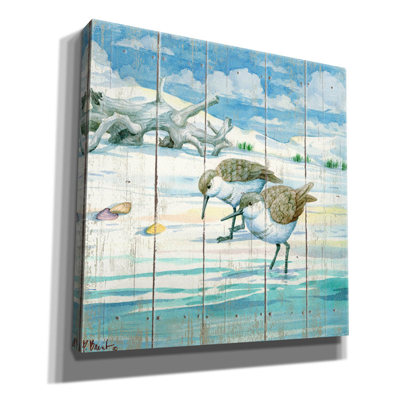 «Shoreline Sandpipers II» par Paul Brent, art mural sur toile, H 12 po x l 12 po x P 0,75 po