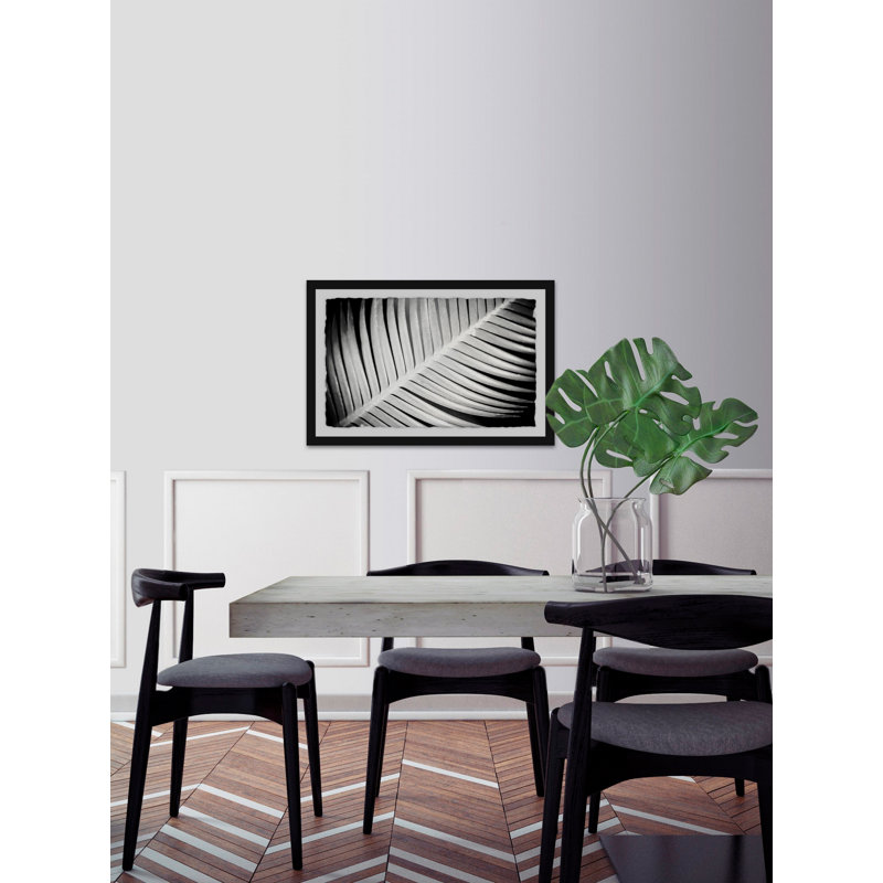Palm Frond II by Morgan Hartley - Single Picture Frame Print, 20cm H x 30cm W x 4cm D