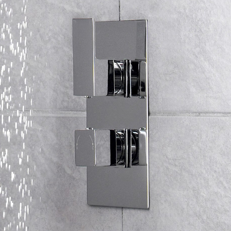 Art Double Concealed Thermostatic Shower Valve