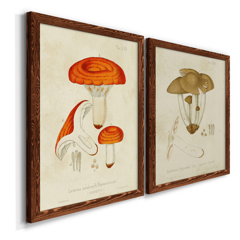 Toile encadrée de qualité supérieure Mushroom Variétés, H 37,5 po x l 55 po x P 1,5 po, Toile avec cadre en noyer