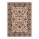 Oriental Indoor Rug