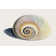 Spiraling I by Grace Popp - Wrapped Canvas Photograph