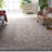 Vivaldi Performance Oriental Rug-1958052328
