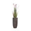 Plante de 68 po en roseau