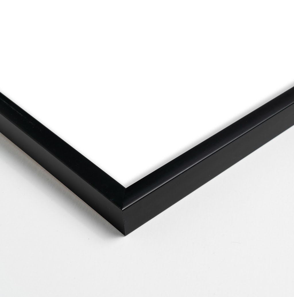 Flora 1&2 by Lee Lessem, Black Framed, 50" H x 80" W x 1.25" D