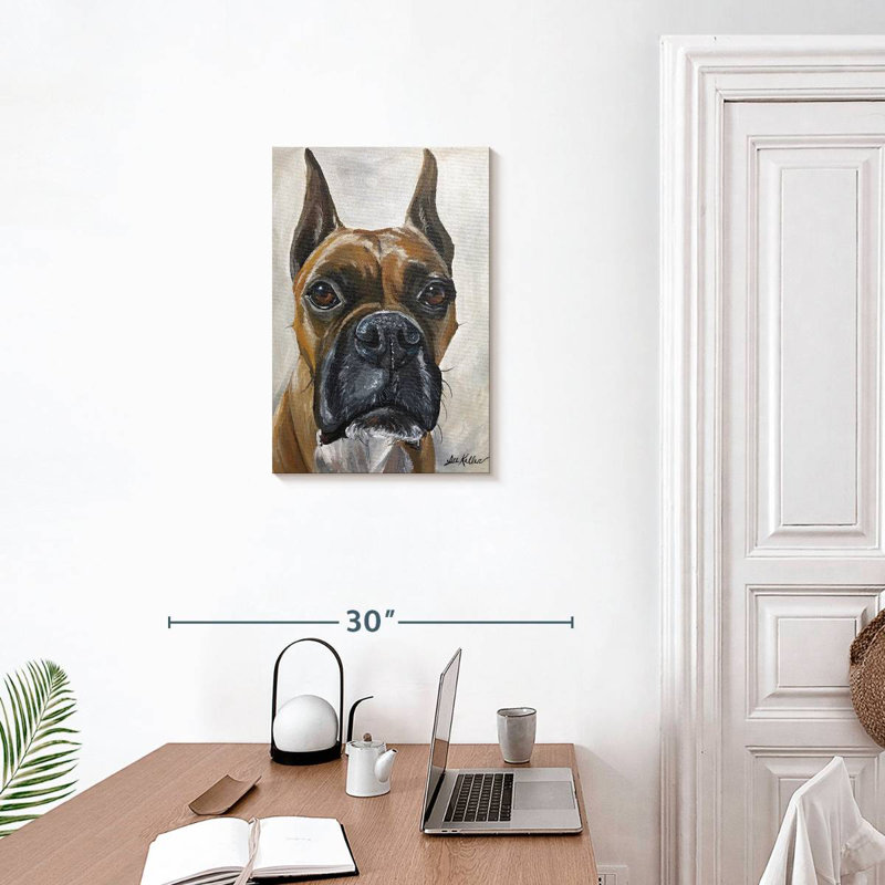 Boxer Brampt Kyleigh, H 24 po x l 16 po