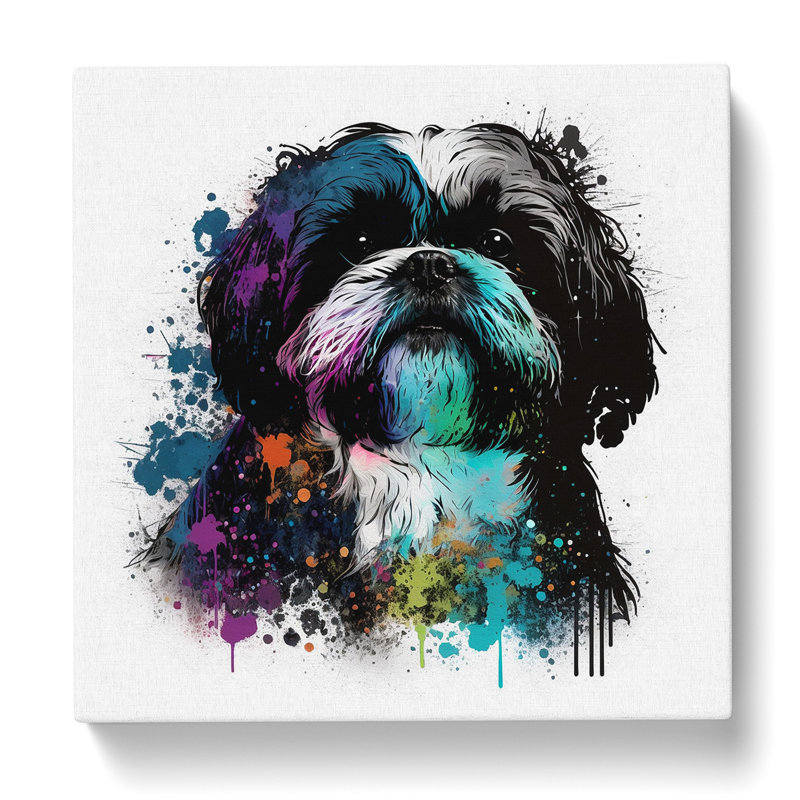 Shih Tzu Splatter Art - Wrapped Canvas, 35cm H x 35cm W x 3cm D