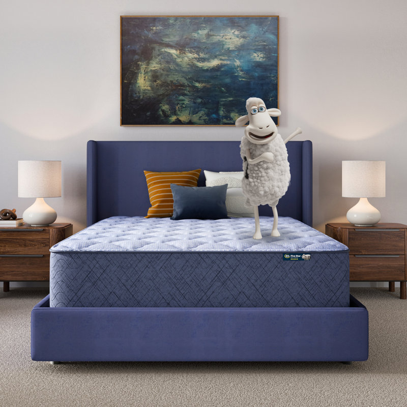 Five Star Mattress Sleep to Go 14" Plush Mattress in a Box, Extra-long Twin