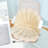 Shell Shaped Seat Cushion with Backrest
