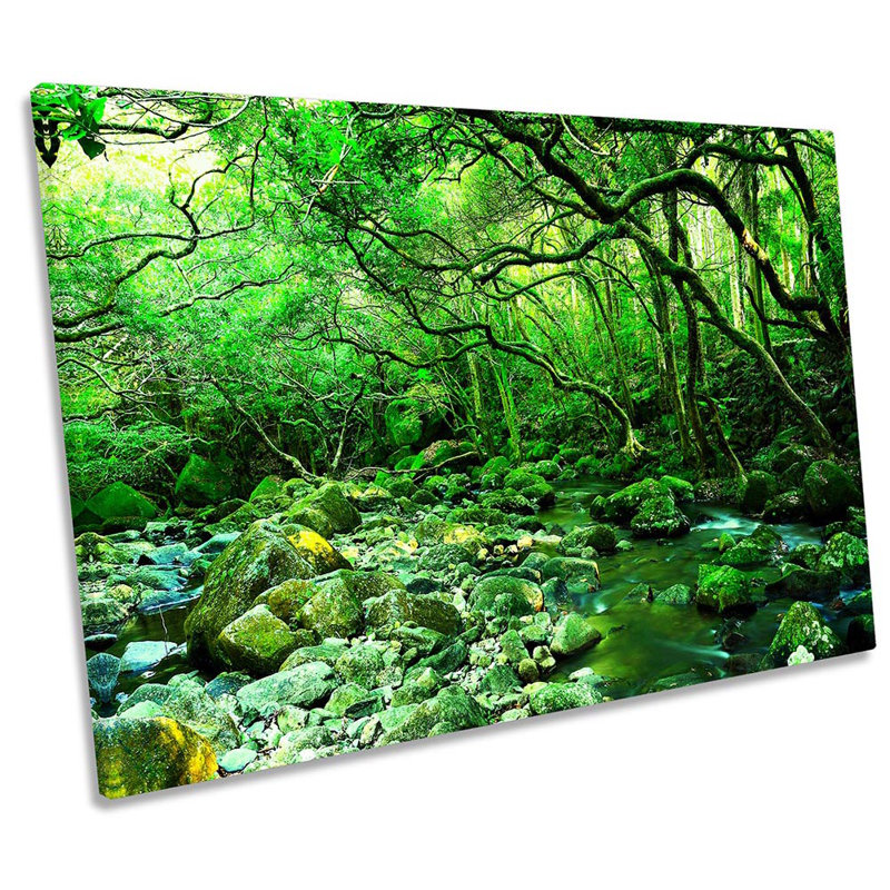 Rocky River Forest Landscape - Wrapped Canvas Print, 40.6cm H x 61cm W x 2cm D
