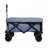 Foldable Wagon with Extended Tailgate-118887555