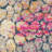 Lalutha Rug-31835681
