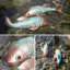 Statues, décor de poissons Koi, ensemble de 2 statues de poissons Koi antiques, sculpture pour l'extérieur