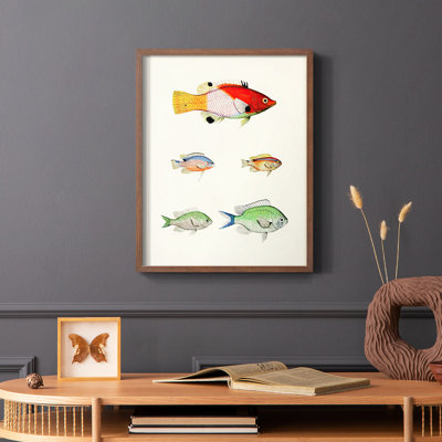 «Colorful Tropical Fish I», reproduction encadrée - bois massif