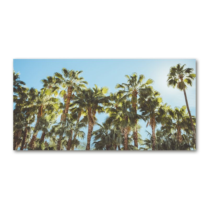High Palm Trees - Wrapped Canvas Print