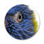 Feathery Focus Print-59380070-59401474