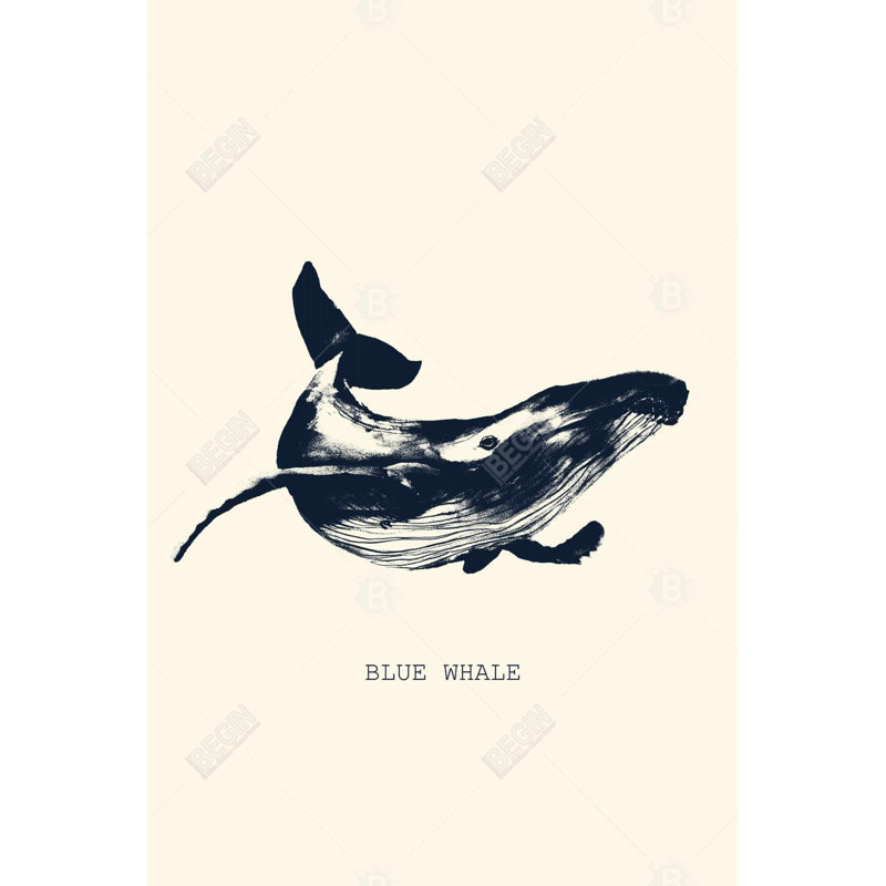 " Blue Whale Sketch ", 36" H x 24" W