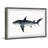 Sandie 'Big Shark' Framed Print-301194975