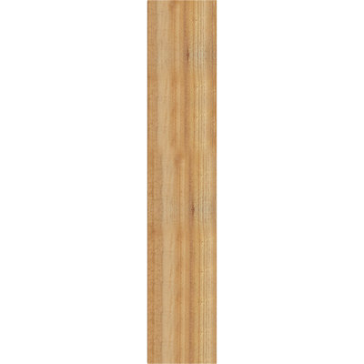 Sapin Douglas, l 6 po x P 38 po x H 42 po Thorton