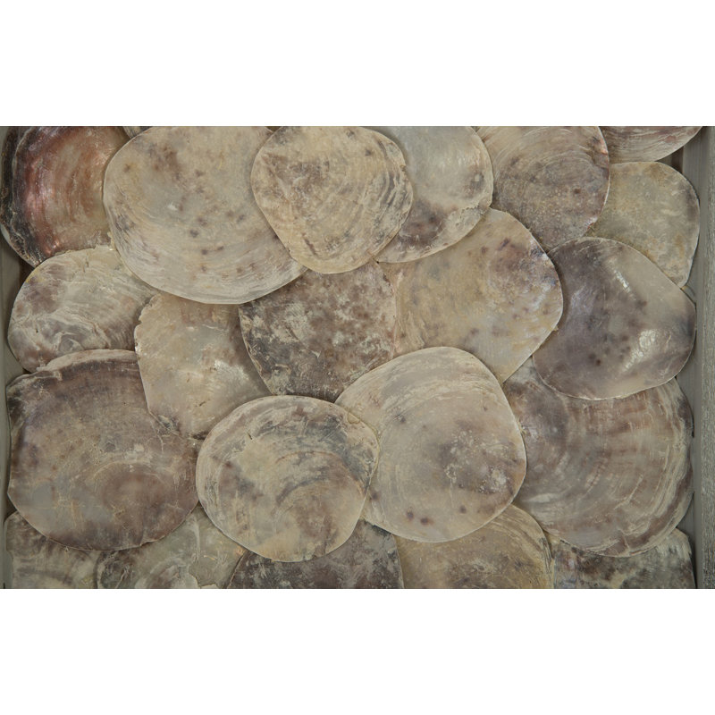 Natural Shells in Gray Wood Square Wall Art