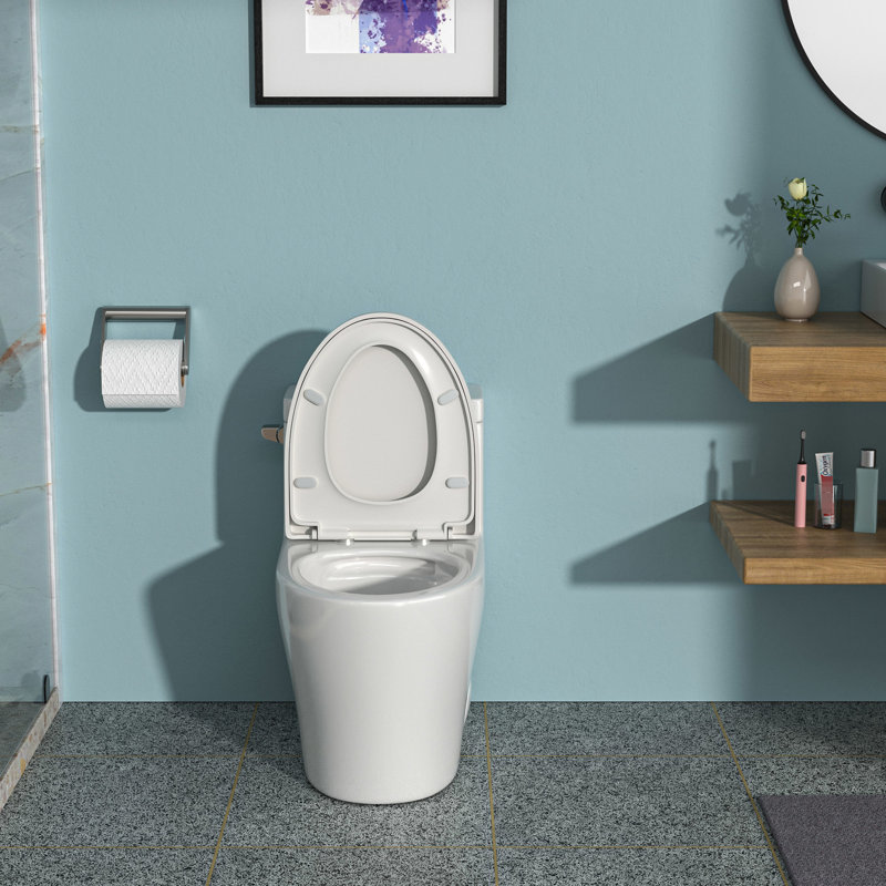 One Piece Ceramic Toilet In White - Low Water Absorption Rate, Tornado Flush, Soft Closing Seat, High Durability With Flushing Power Piece, White, Close , Build