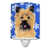 Brown Cairn Terrier