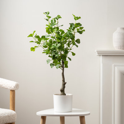 75cm Faux Heart-leaf Ficus Tree in White Pot