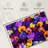 Pansy Colors