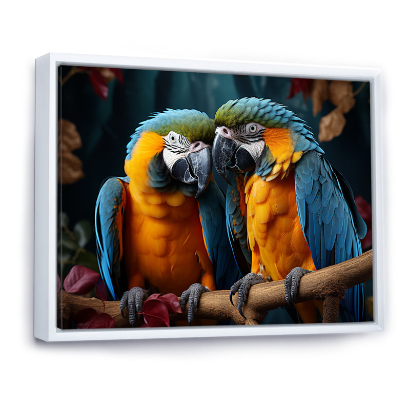 Parrots Vivid Conversations I, Cadre flottant blanc, H 30 po x l 40 po x P 1,5 po