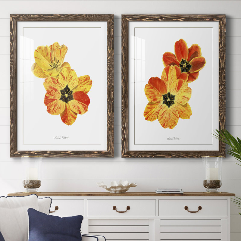 Olive's Tulips I Premium encadré mat - prêt à être accroché, H 37,5 po x l 55 po x P 1,5 po, Encadré de bois de noyer