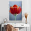 Tulipe rouge Harnek-108667284