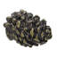 Lodge pinecone knob in finish Antique Brass-30213656