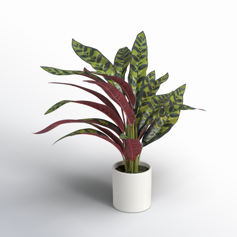 18.9'' Faux Calathea Plant in Ceramic Pot