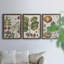 Exotic Botanique I - Ensemble de 3 peintures sur toile encadrées-595385040-595385045